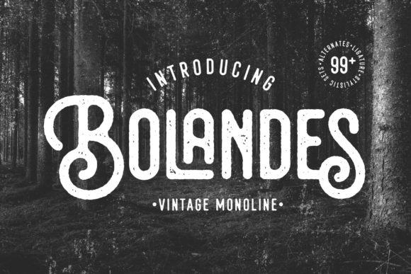 Bolandes: A Vintage Font for Modern Design Impact